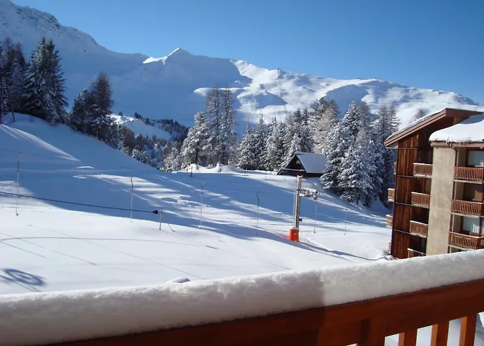 アパート 1 Piece Plagne Village 4 Personnes 2050 M Pied Des Pistes ラ・プラーニュ
