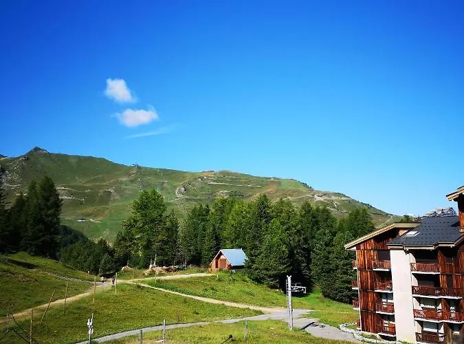 Апартаменты 1 Piece Plagne Village 4 Personnes 2050 M Pied Des Pistes *